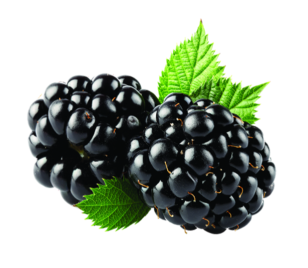 Kefir sabor Zarzamora